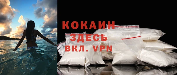 таблы Гусев