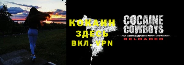 метадон Каменка