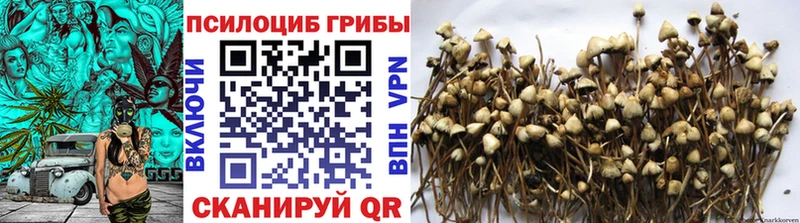 Псилоцибиновые грибы Magic Shrooms  Ковдор 
