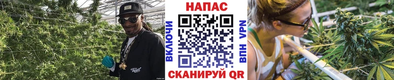 хочу наркоту  Ковдор  Бошки Шишки гибрид 